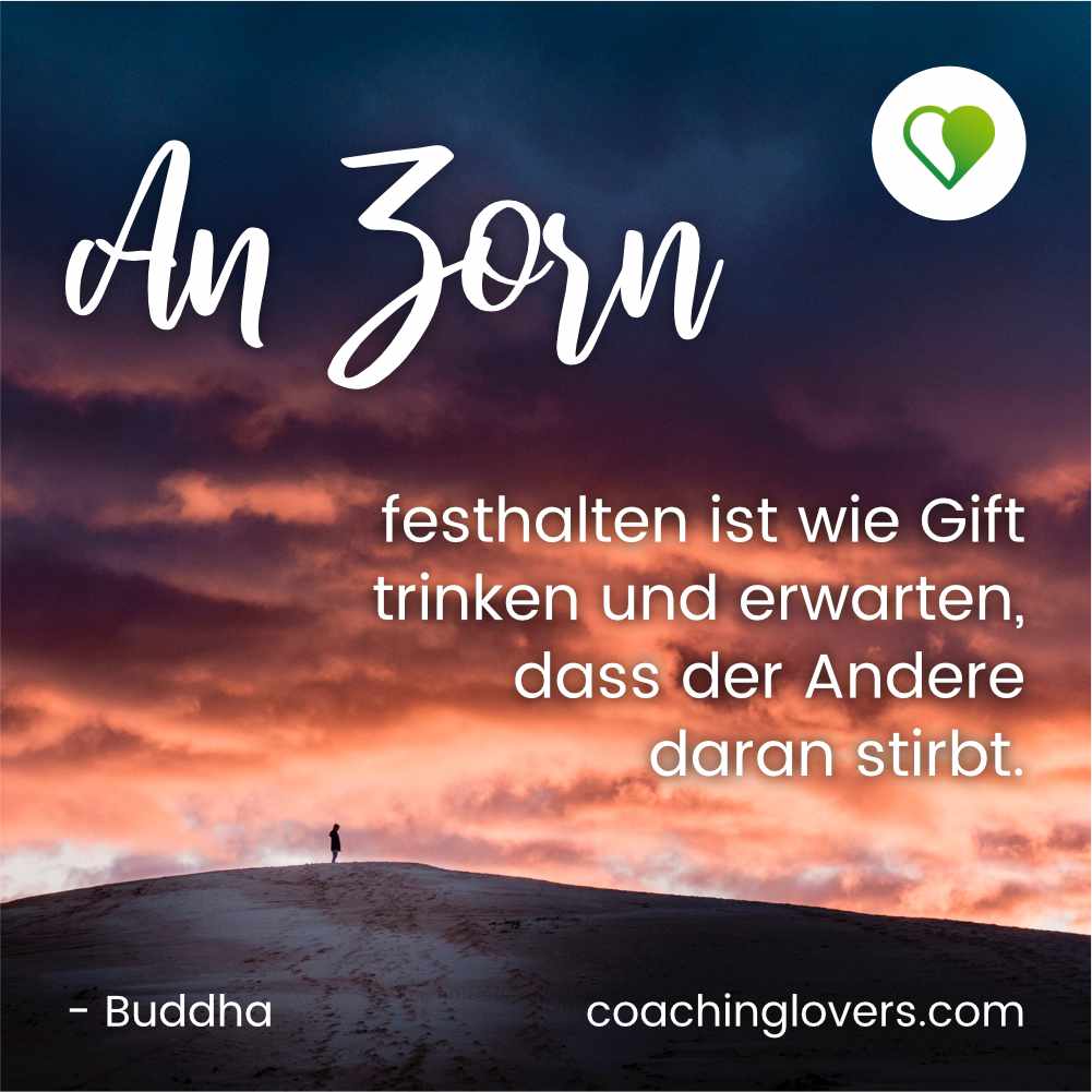 Spiritualität Sprüche 19 - Buddha Zitat Zorn