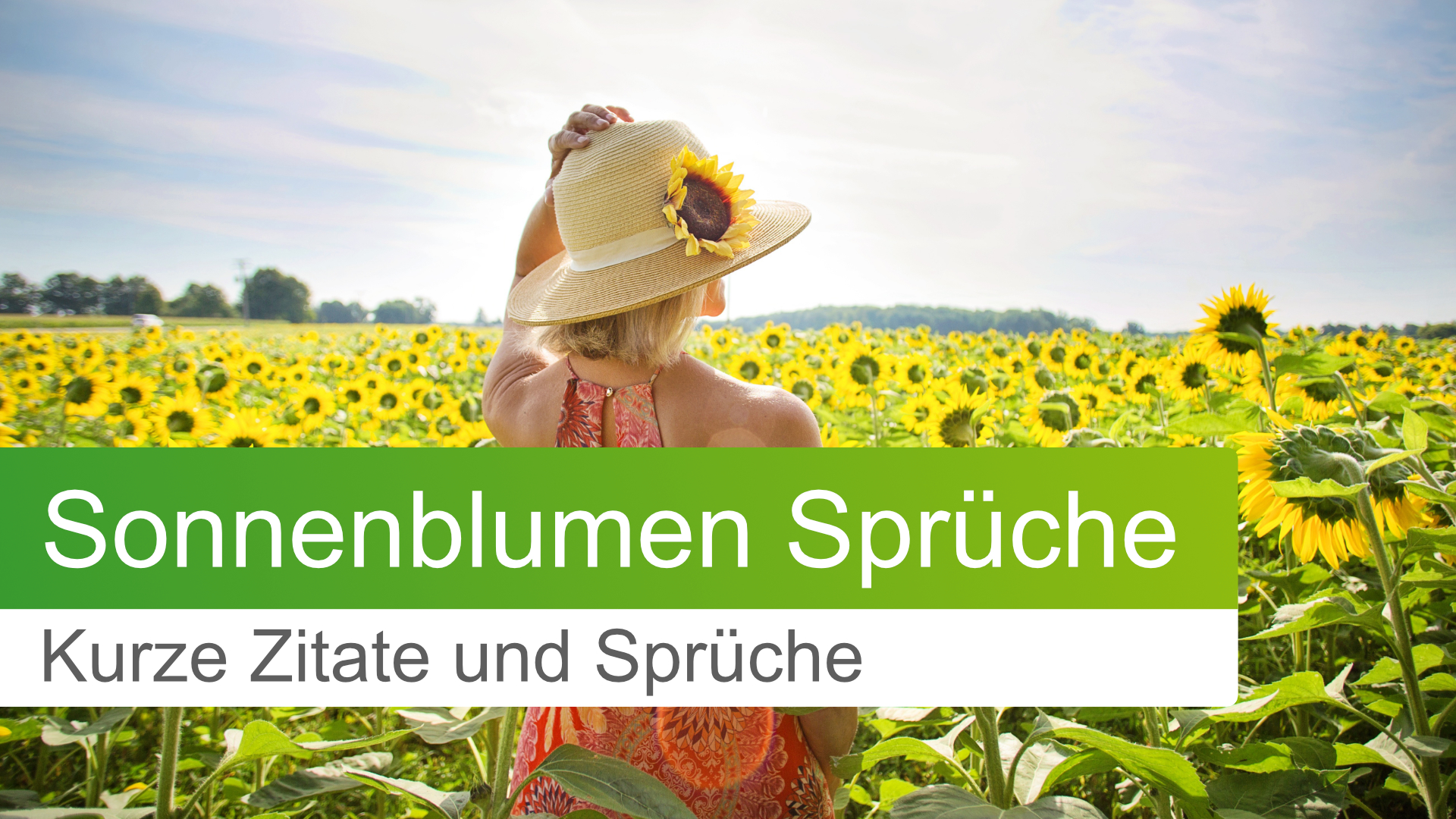 11 Kurze Sonnenblumen Spr che Und Zitate