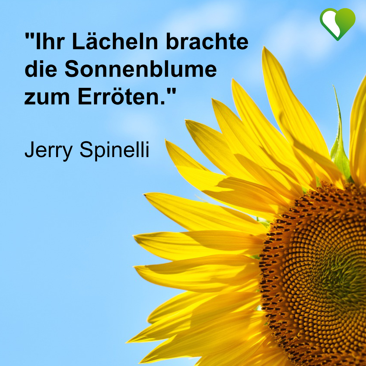 11 kurze Sonnenblumen Sprüche und Zitate
