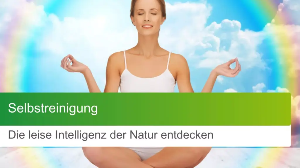 Selbstreinigung