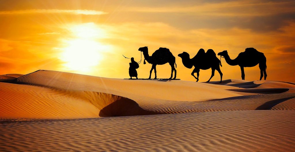 Die 17 Kamele - Weisheitsgeschichte