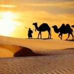 Die 17 Kamele - eine Weisheitsgeschichte
