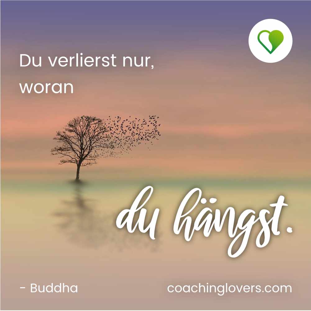 Achtsamkeit Sprüche 7 - Buddha Zitat