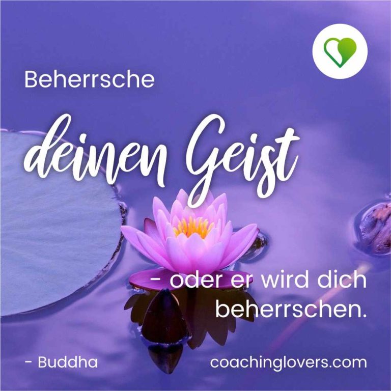 Achtsamkeit Sprüche und Zitate zum achtsamen Leben