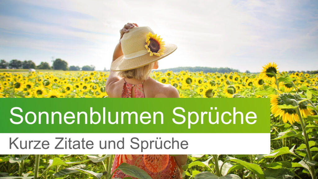 Kurze Sonnenblumensprüeche und Zitate