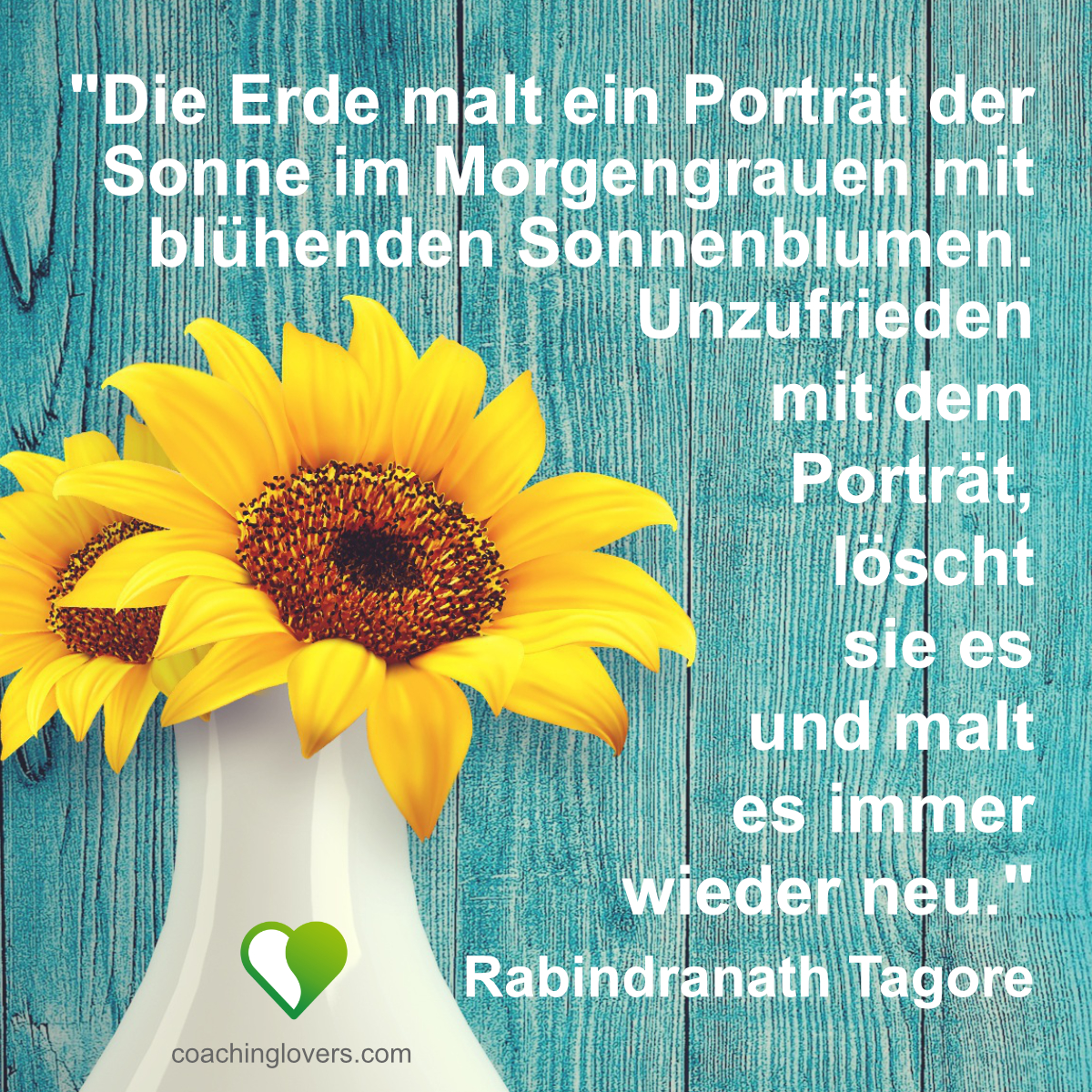 11 kurze Sonnenblumen Sprüche und Zitate