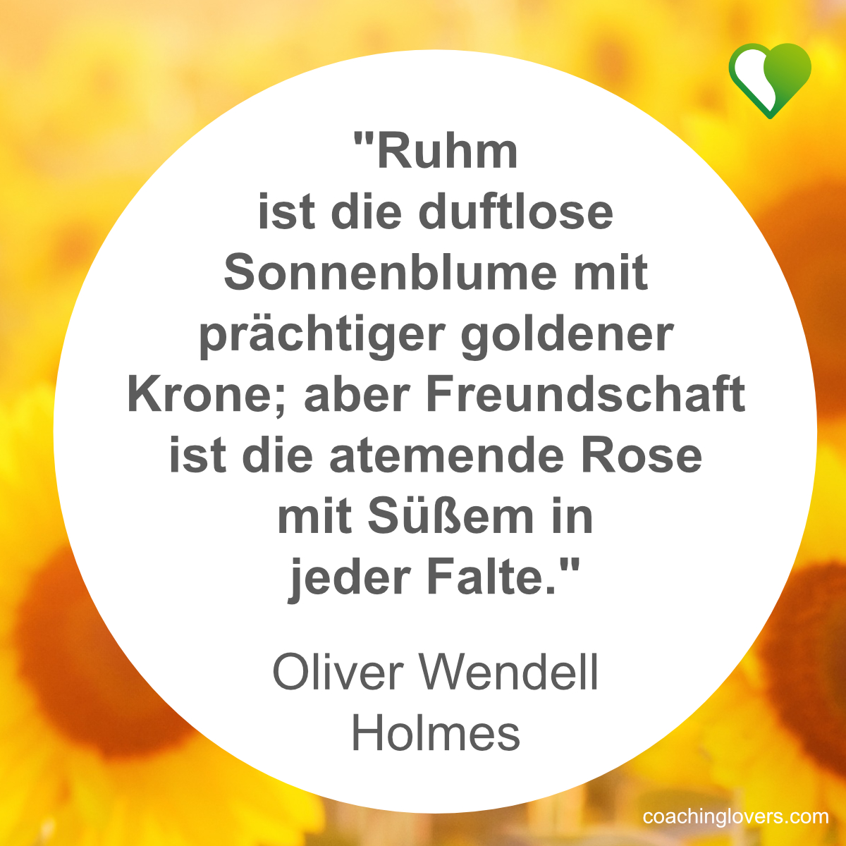 11 kurze Sonnenblumen Sprüche und Zitate