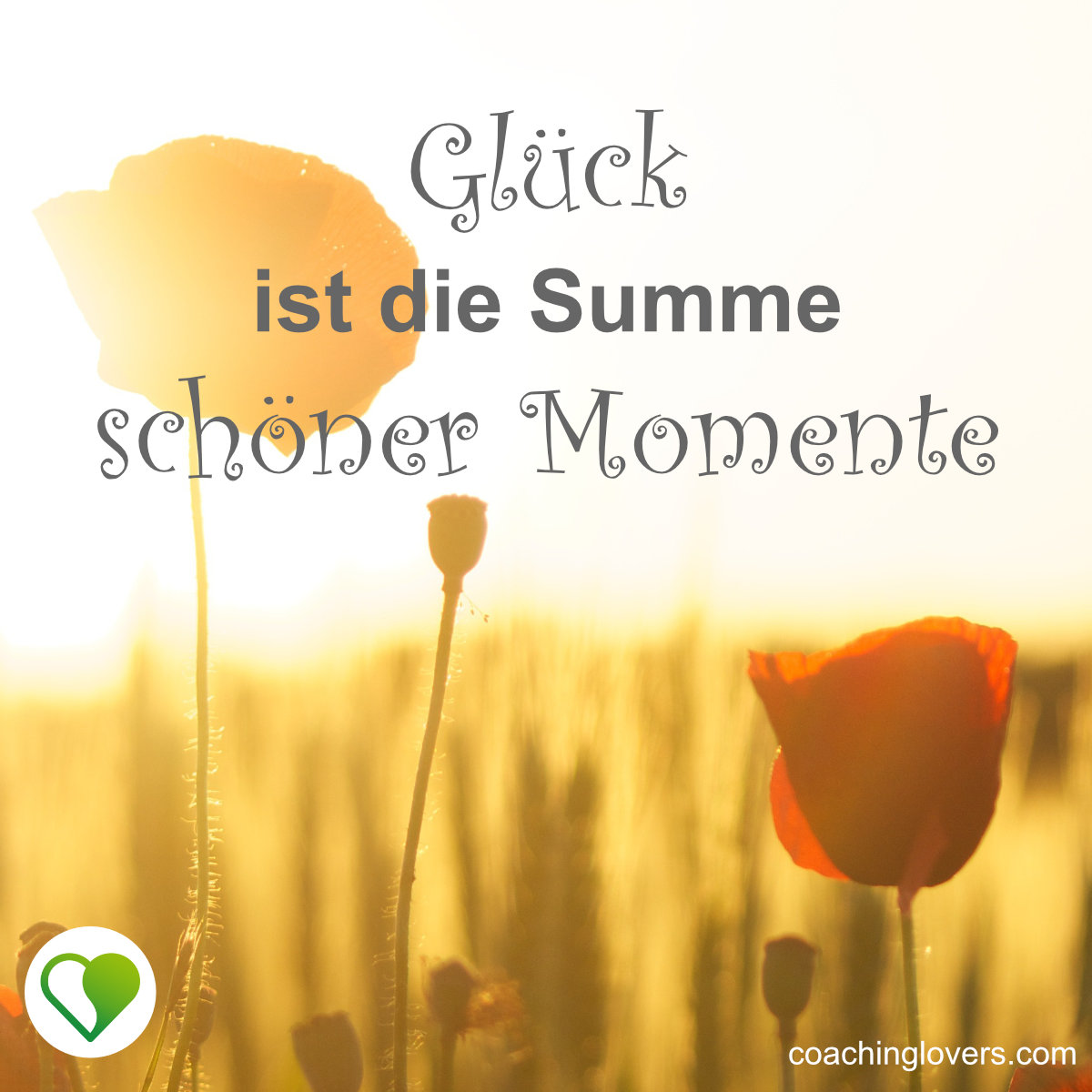 Genieße schöne Momente Sprüche