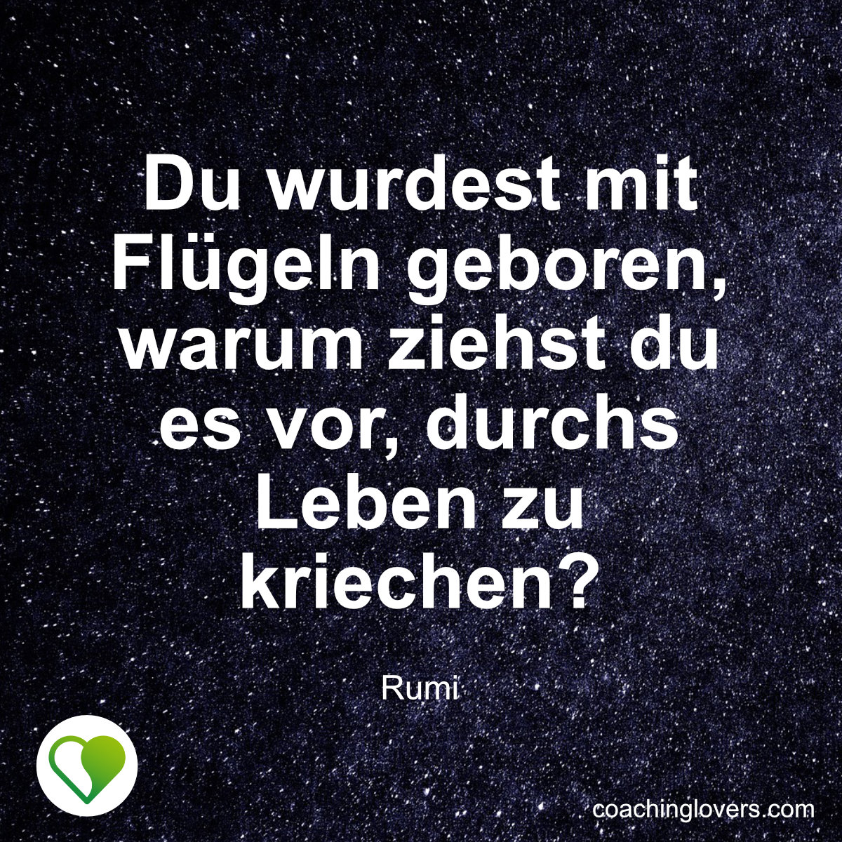 Die 50 besten Zitate von Rumi CoachingLovers