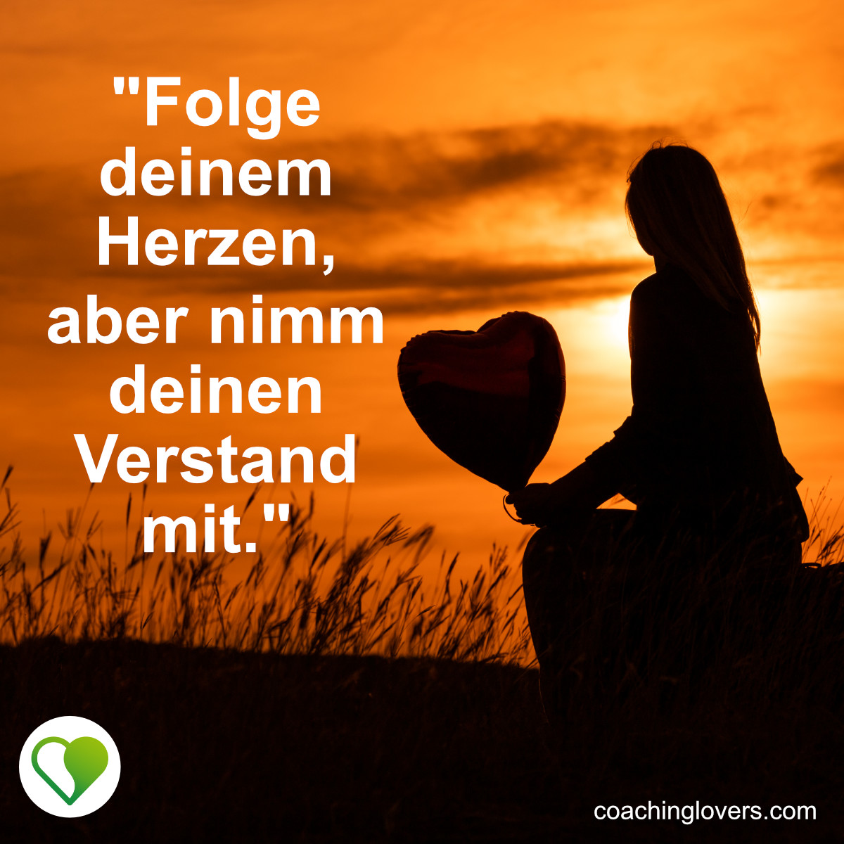 Herz über Kopf Sprüche und Zitate