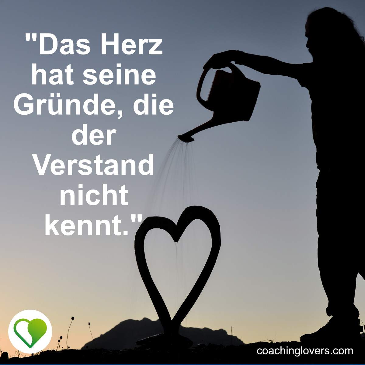 Herz über Kopf Sprüche und Zitate