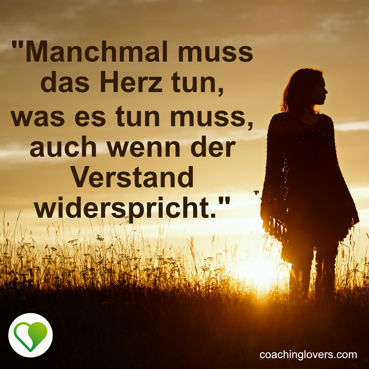 Herz über Kopf Sprüche und Zitate