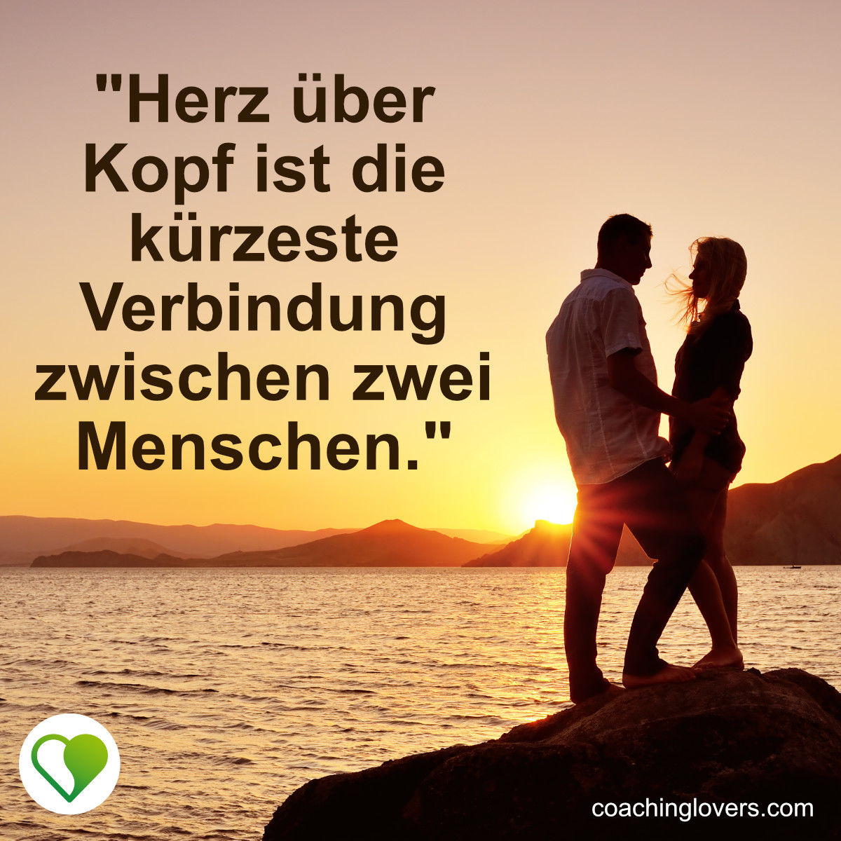 Herz über Kopf Sprüche und Zitate