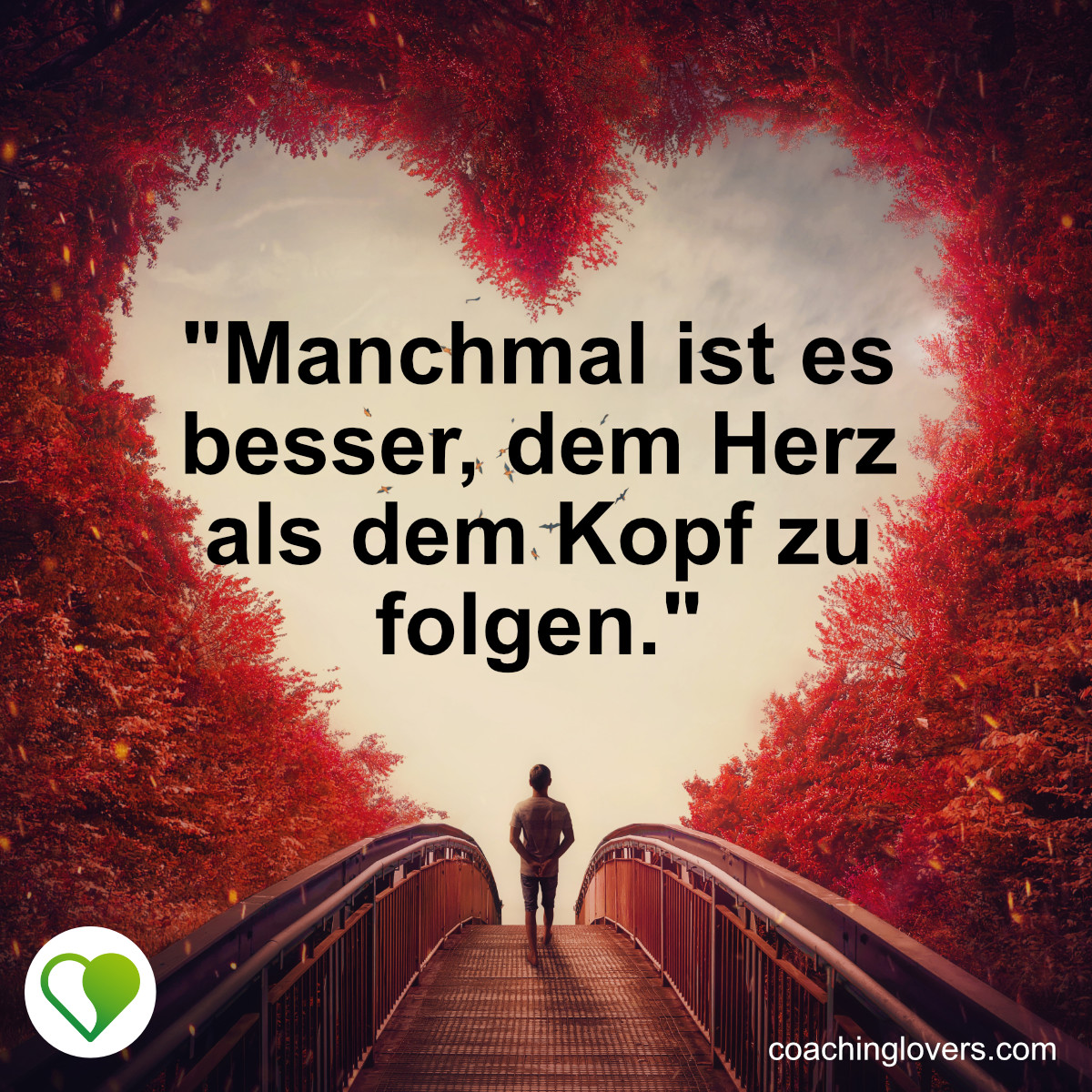 Herz über Kopf Sprüche und Zitate