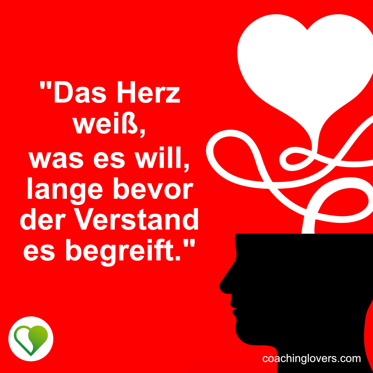 Herz über Kopf Sprüche und Zitate