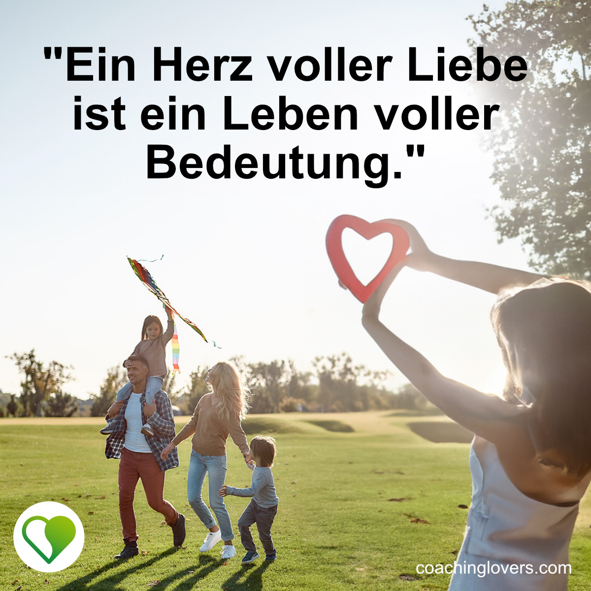 Herz über Kopf Sprüche und Zitate